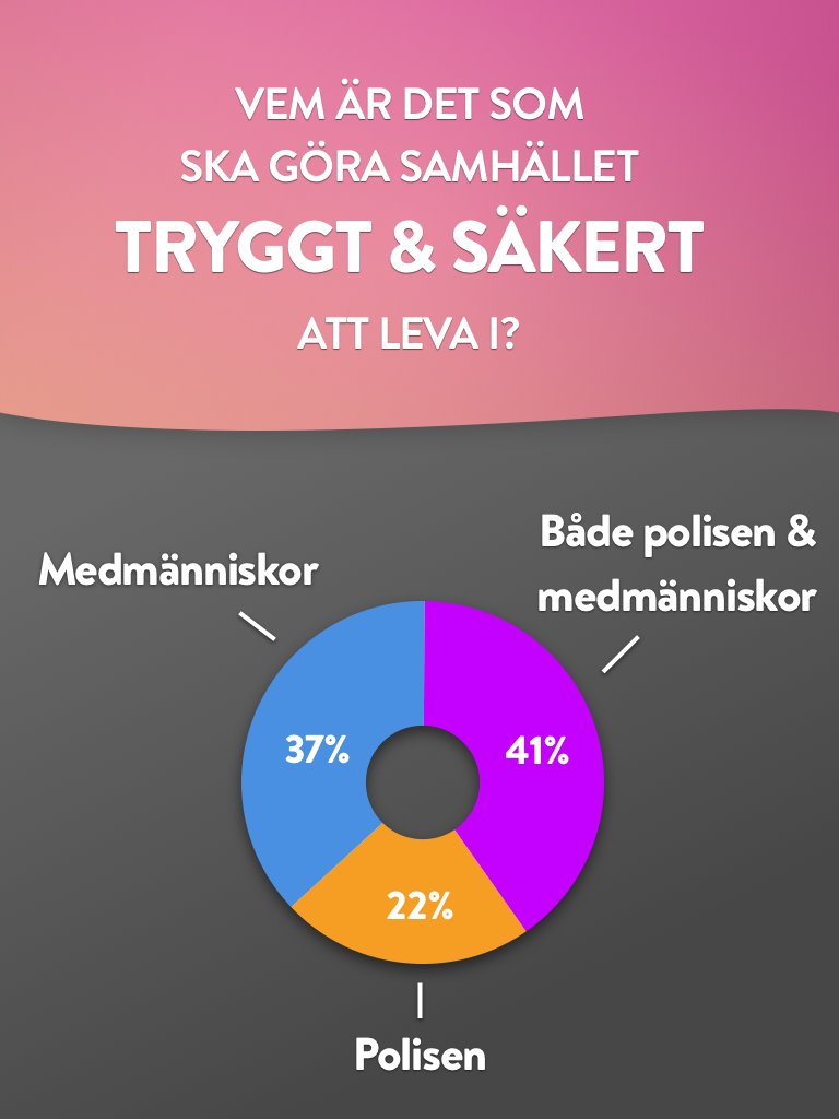 Vem ska göra sammhället tryggt?